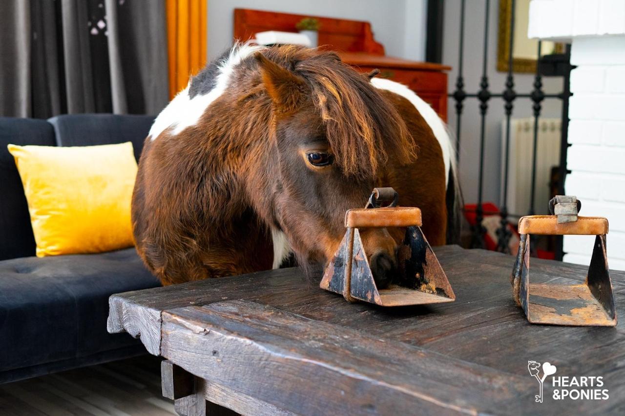 Hearts & Ponies Apartamentos Con Piscinas Privadas Cerca De La Warner Чинчон Екстер'єр фото