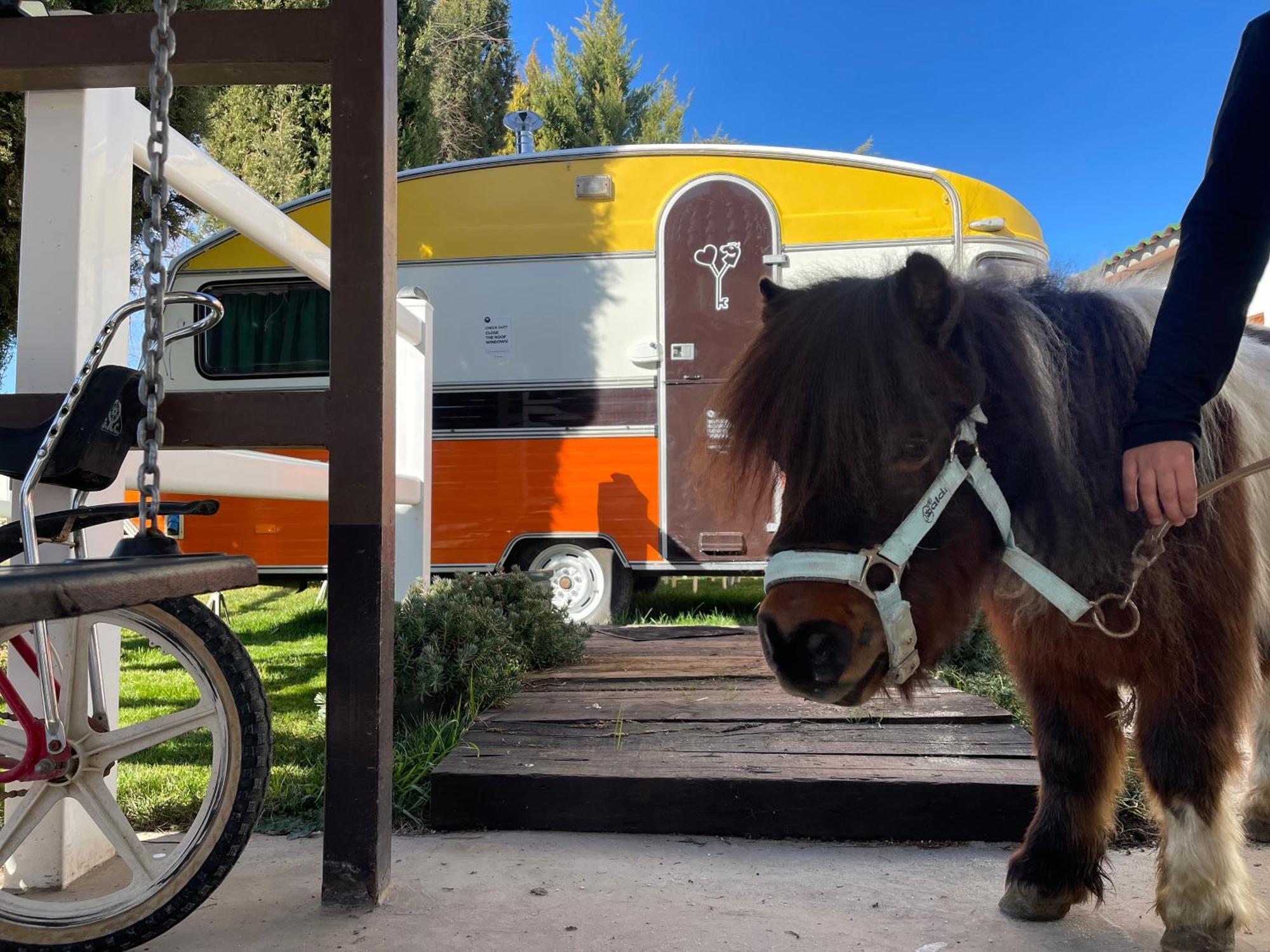 Hearts & Ponies Apartamentos Con Piscinas Privadas Cerca De La Warner Чинчон Екстер'єр фото